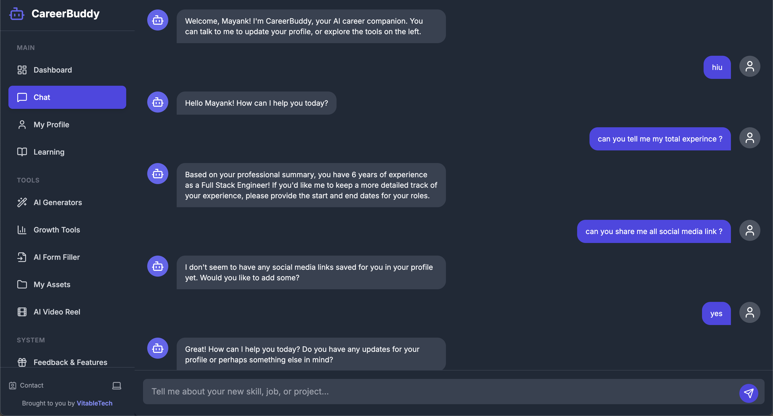 Chat interface where user interacts with the AI to update their profile.